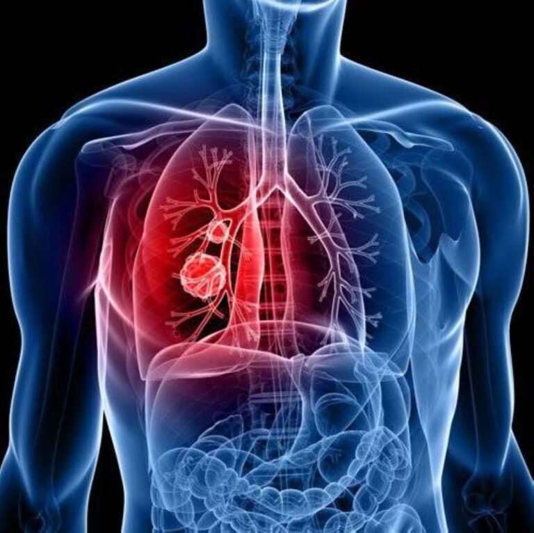 1878853d 634d 48a6 b698 495a790567ab file.jpg