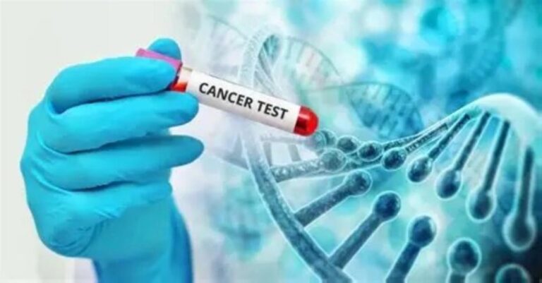 1a1fe44b 92a8 4cb8 9f68 2efade79c7ed file.jpg