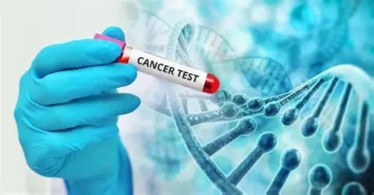 1a1fe44b 92a8 4cb8 9f68 2efade79c7ed file.jpg