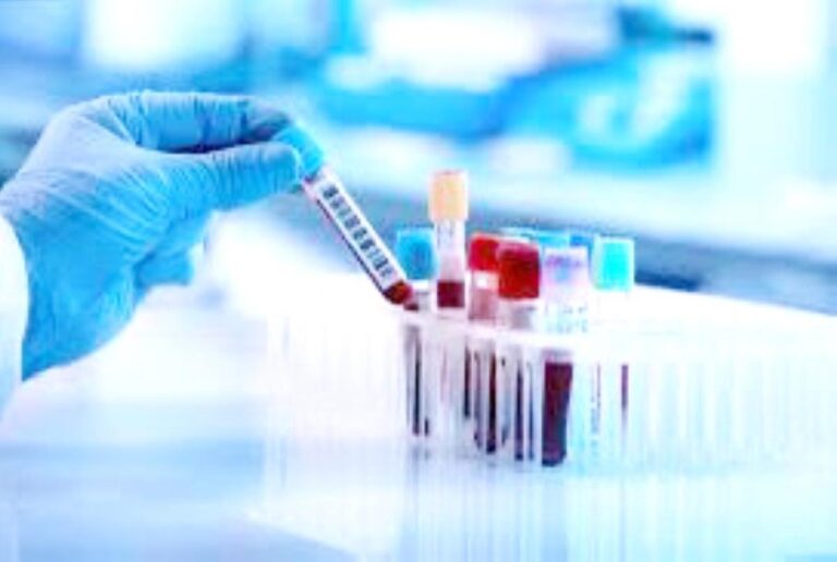 1b4667bb 5d1f 49e5 bf0a aeb408f8b981 file.jpg