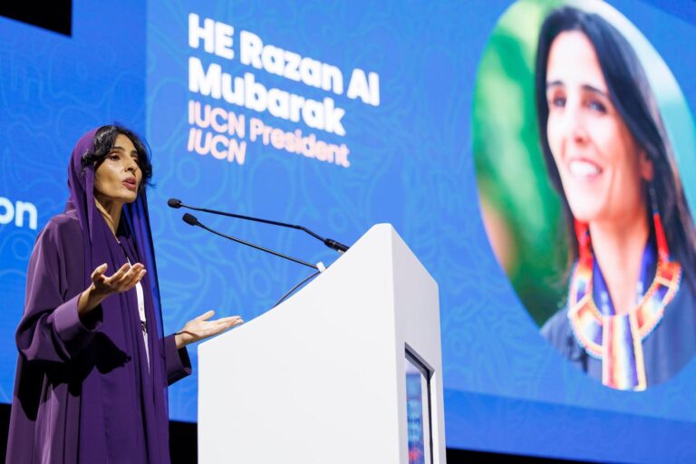 1cdbc1cf 15ba 4178 b53a 9ffef3626583 file.jpg