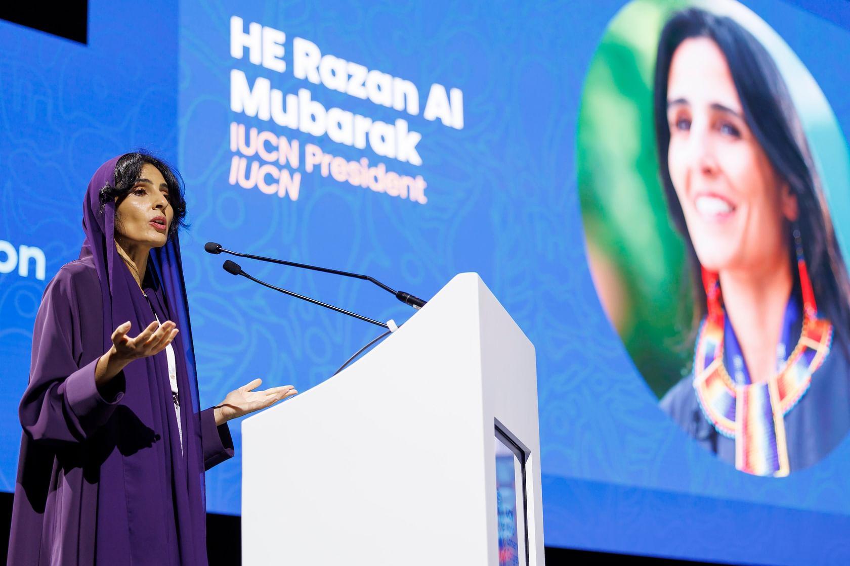 1cdbc1cf 15ba 4178 b53a 9ffef3626583 file.jpg