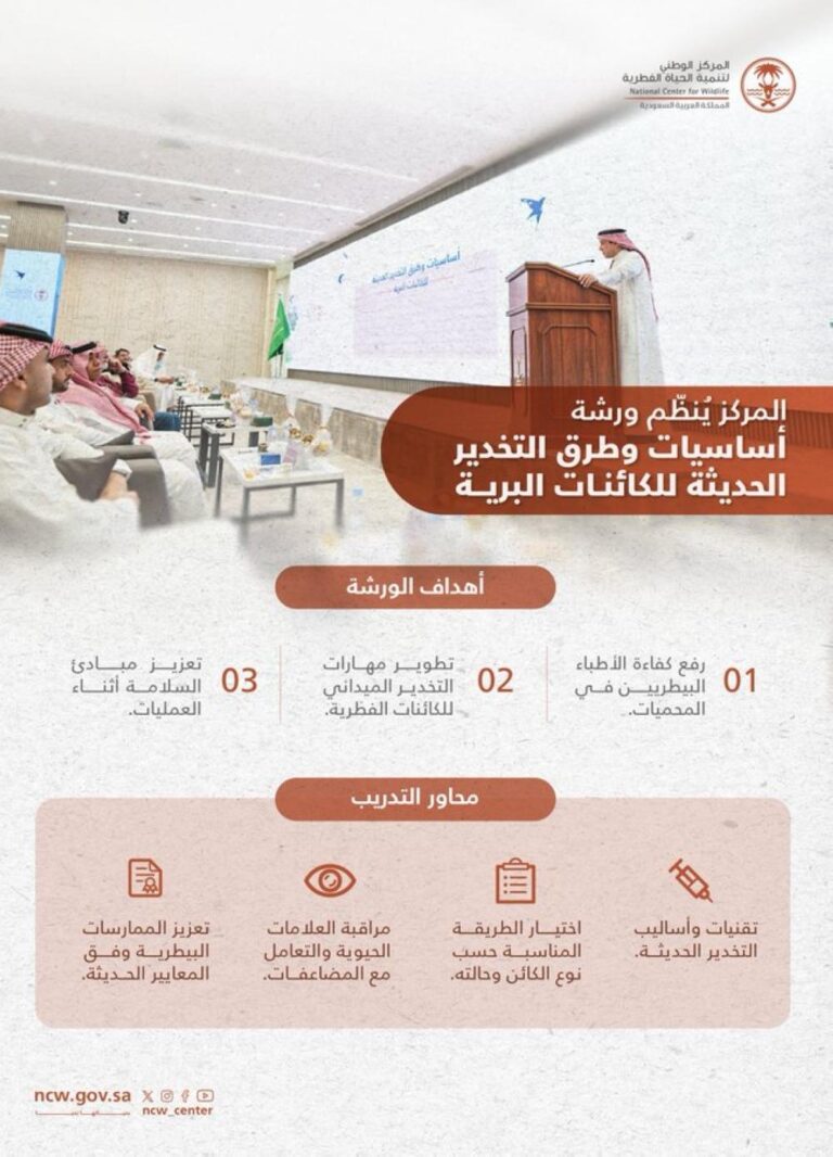 2264f20a 49cf 4348 8692 b9dd9d95fd5d file.jpg