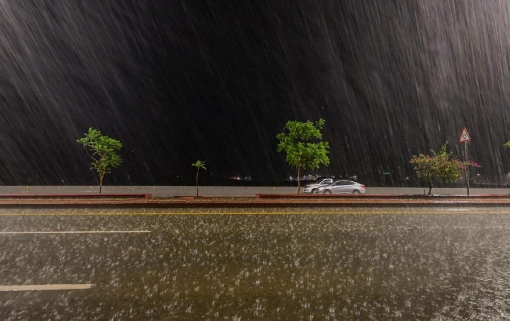 2a9d3dbd f831 48f1 ba7a 3962ae705049 file.jpg