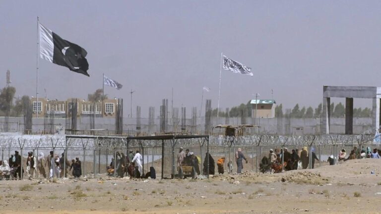 2c096fd8 0c71 40d4 a0cc 7138f24cd56c file.jpg