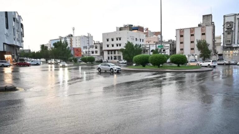 2d56aa85 c955 489a a445 3aa328489b5a file.jpg