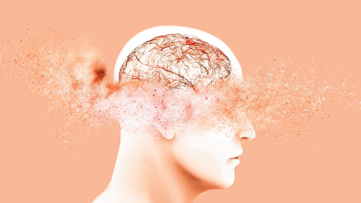 2e073490 766a 4511 bdcc 2eb352db0f83 file.jpg