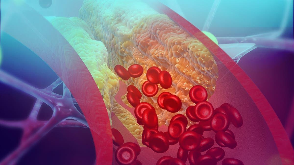 31abf147 64df 4f6e 9dba a511bdd8b2d8 file.jpg