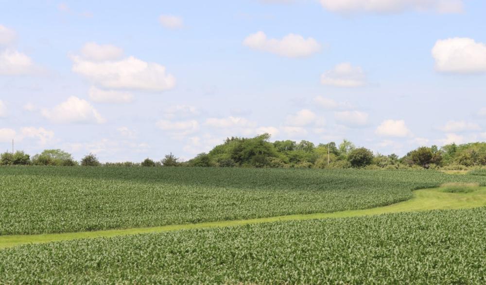 32394fac fcb6 4e60 9c0a 6e51c1c93d9c file.jpg