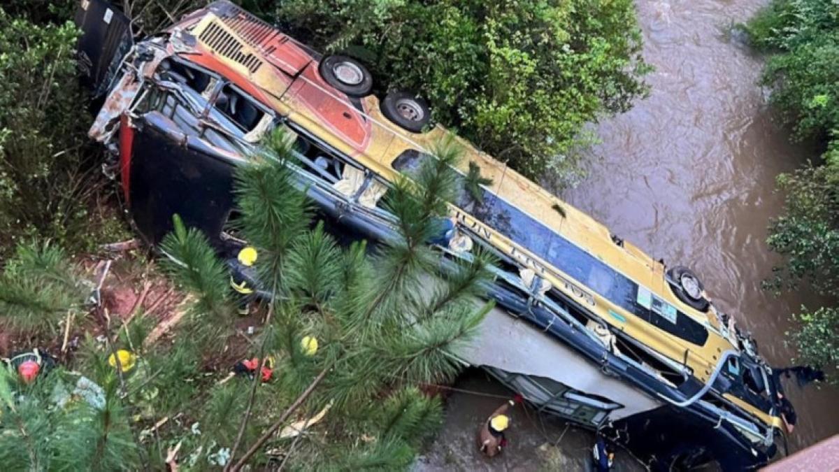 348a01bd ff9c 4861 81e9 18d64f953552 file.jpg