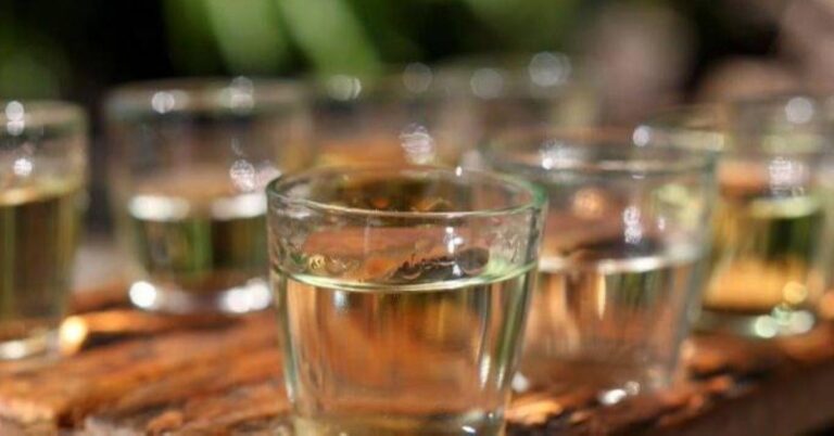 34e078ee fd8d 4e74 a1b2 1ec8adf8a047 file.jpg