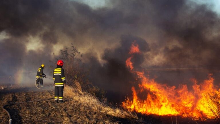 352545b3 0efe 4db5 9d3d dcdbc205d1eb file.jpg