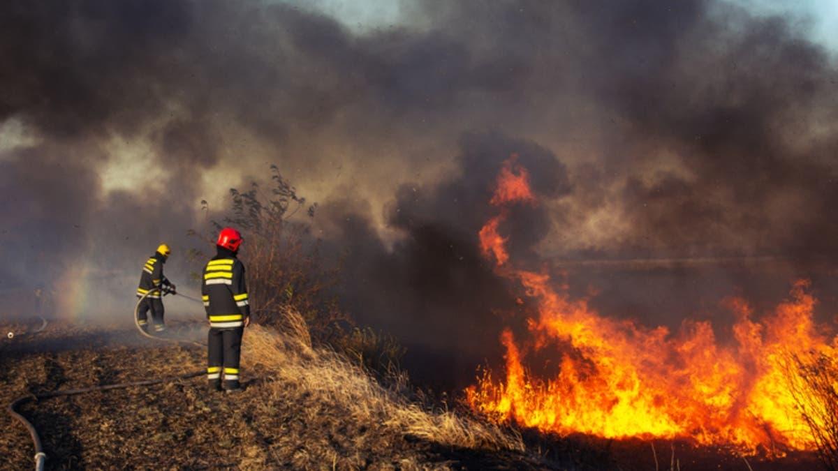 352545b3 0efe 4db5 9d3d dcdbc205d1eb file.jpg