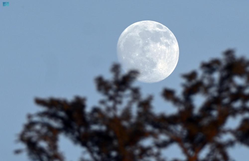 3579c5ea 40e8 4bd0 8559 f2a2b87d5537 file.jpg