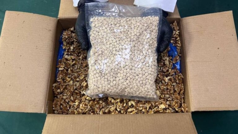 37b2a72a d9b9 45c8 959a 664e9d3449d3 file.jpg