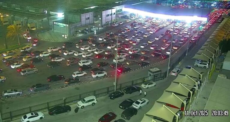 37ed413d bca9 46c3 b332 b9adaaf7ba0a file.jpg