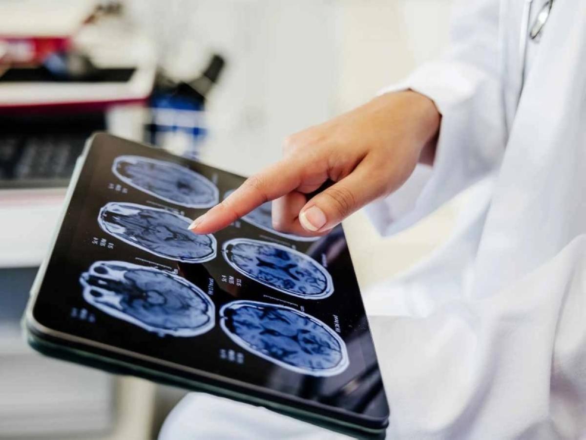 3924fe63 2109 44ae bc1e 214b4aa12ba4 file.jpg