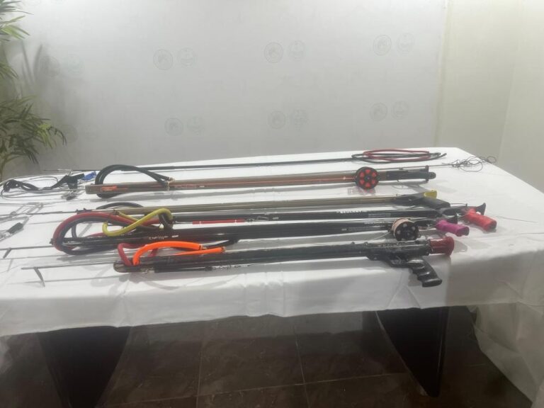 3acf2190 070c 43d1 83d9 7d28b11b3c67 file.jpg