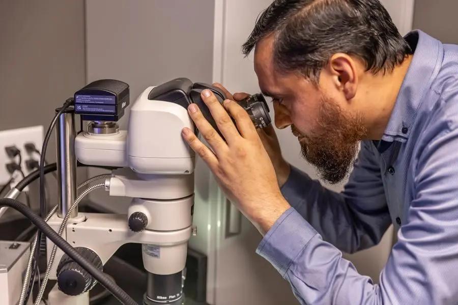 3b04474b 56ae 43e8 9238 9802dec7b136 file.jpg