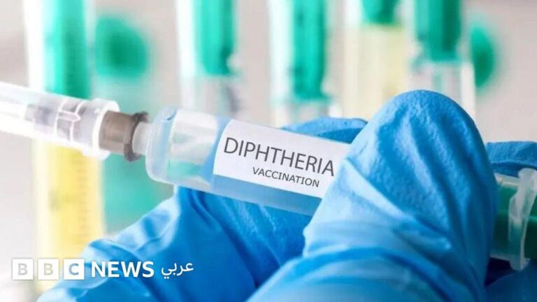 3e68088c 743d 4ab1 89ad e87fde30a4cb file.jpg