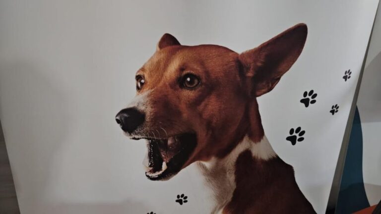 3e7d0877 7196 4de9 9213 c9153af0198a file.jpg