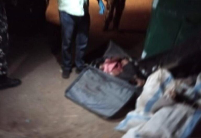 3f28eaf3 347b 4a23 bc7f c5ce2c17a00c file.jpg