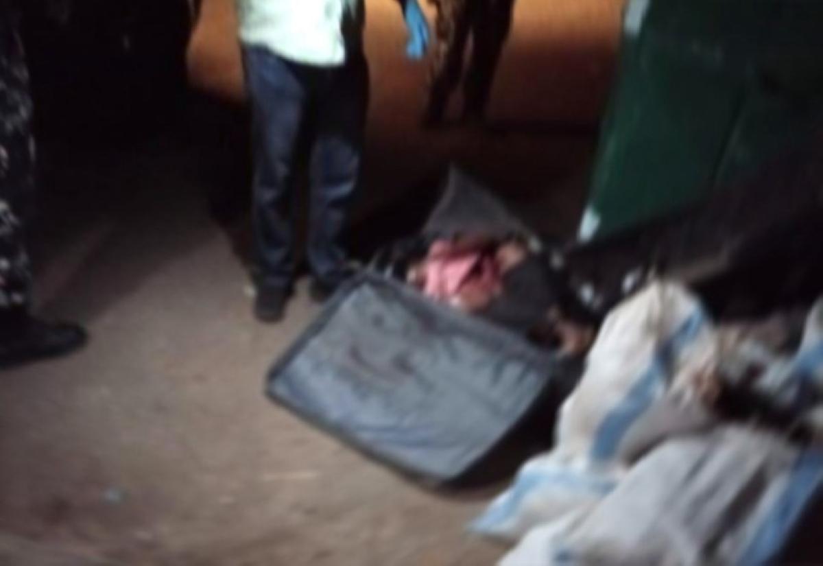 3f28eaf3 347b 4a23 bc7f c5ce2c17a00c file.jpg