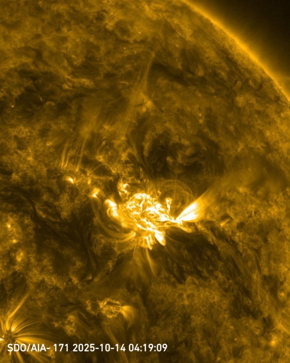 3fddbdfb 969d 4676 a42f 95c75df197ca file.jpg