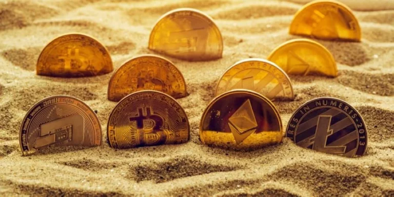 44bae980 d1a1 4b55 95f3 5a317959ebb4 file.webp