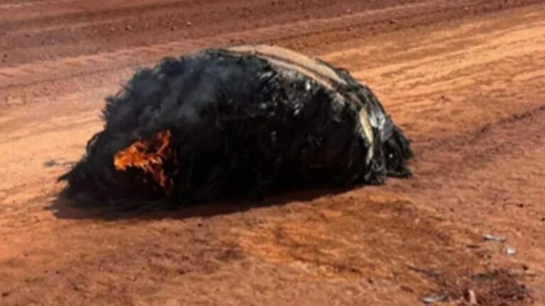 46d307e1 a234 4e94 8637 a9a731571e4c file.jpg