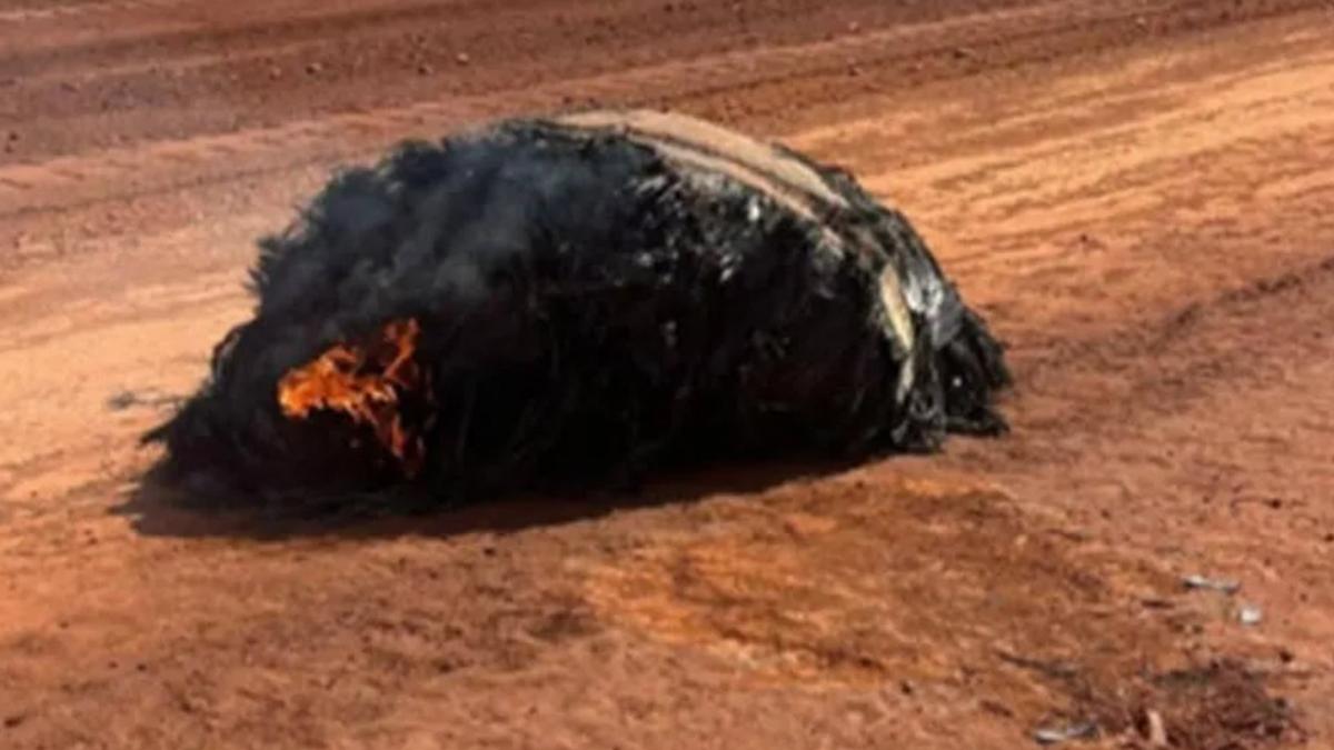 46d307e1 a234 4e94 8637 a9a731571e4c file.jpg