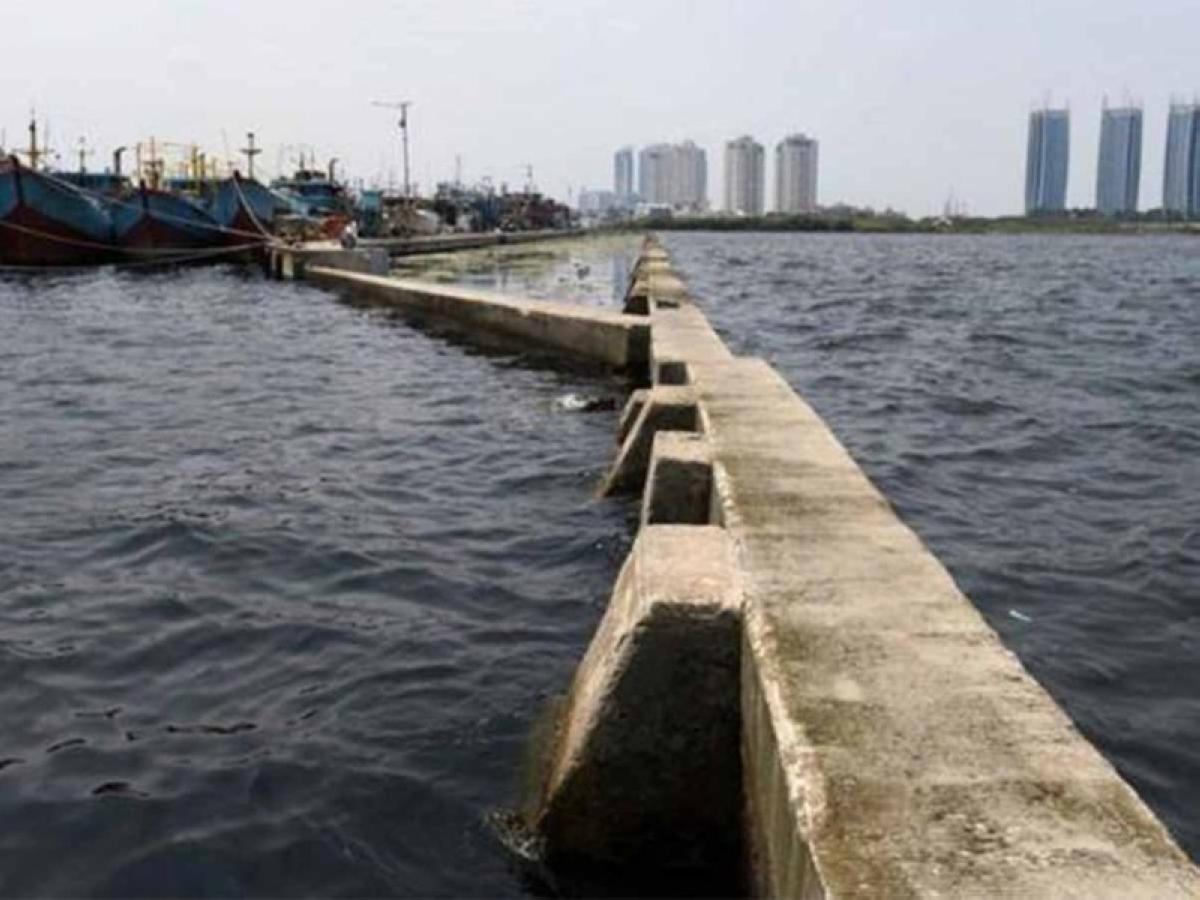 46ffa742 ee79 471b 92fd 2165dcf100f7 file.jpg