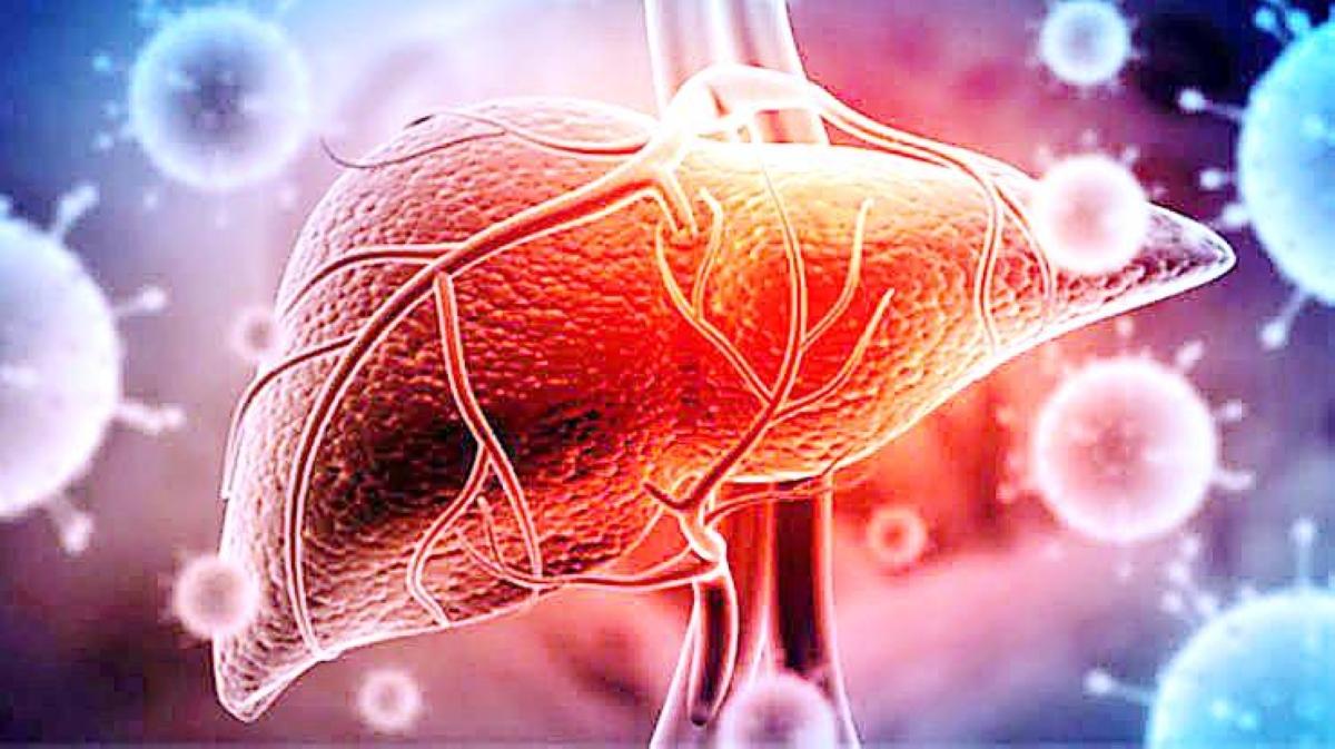 4765e284 1ffa 4292 80d4 1c8ec3bb281b file.jpg