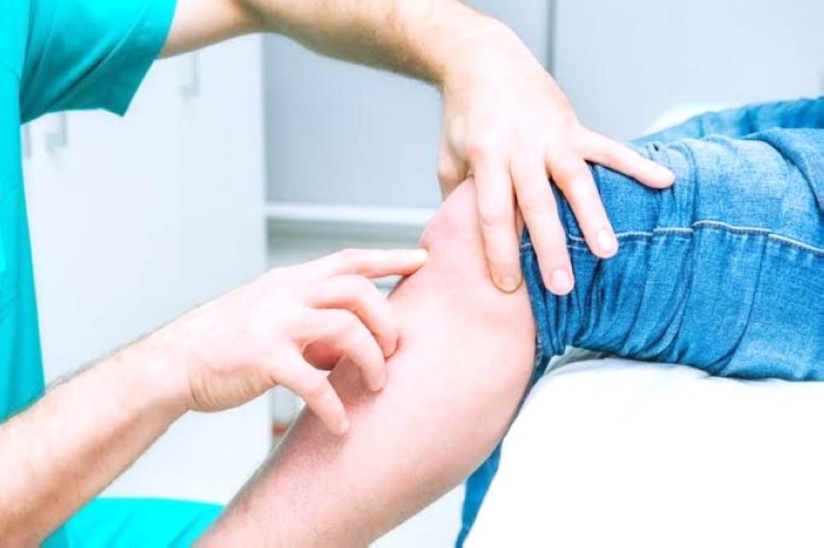 4c22506b c543 4640 bf7f 5c5d01462220 file.jpg