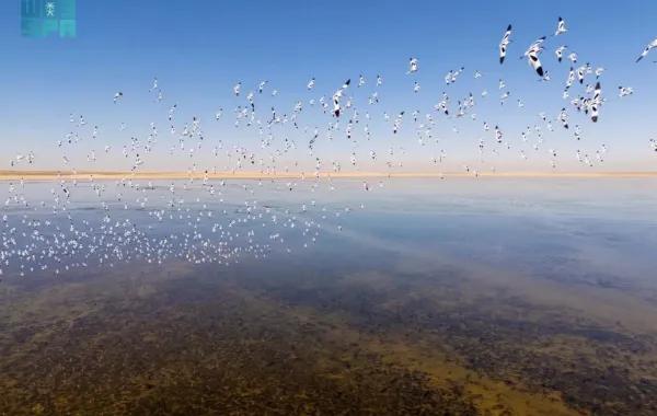 4c71ff6c 6b1a 425a b469 58ae527c1556 file.jpg