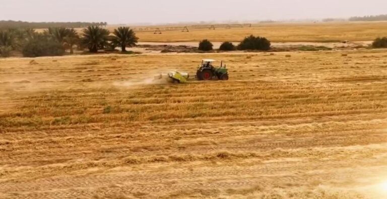 4d51885a a9e6 45b8 ae60 c9e1fc8a1d5a file.jpg