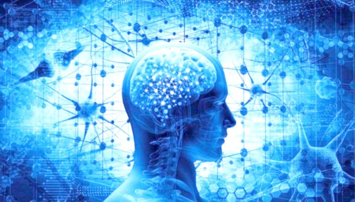 4f69cb05 9c76 49eb a74f 05f825f14873 file.jpg