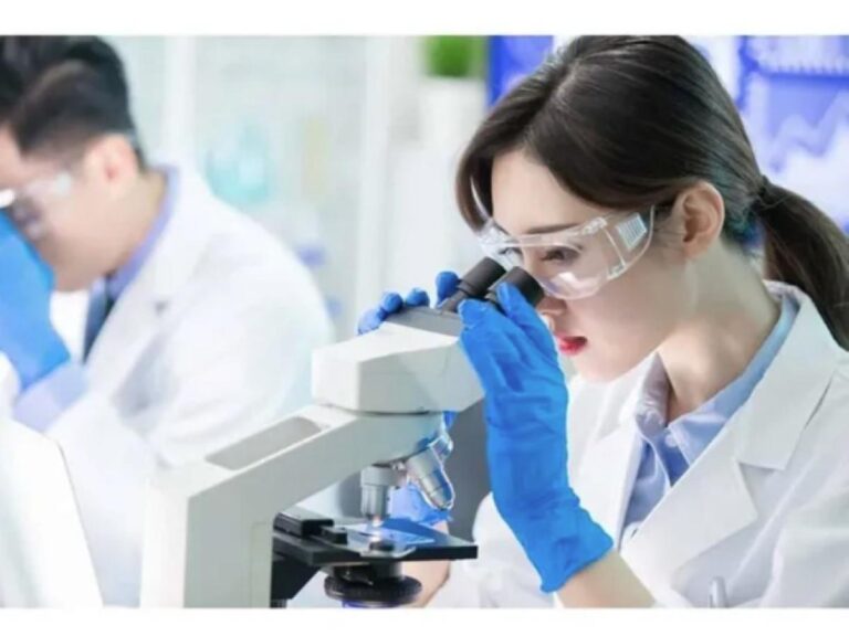 501a2b31 1e38 451f ba9a 4763d4811540 file.jpg