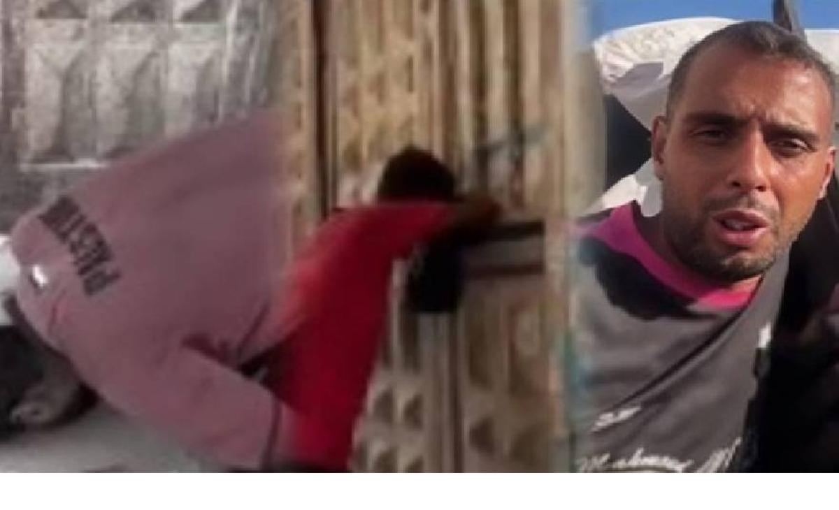 5053373a d131 4a81 89e1 a28a7e29125c file.jpg