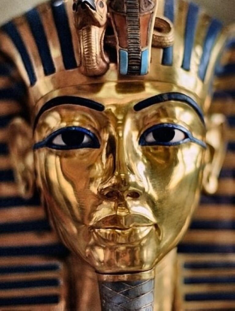 52a88591 e1f3 45f0 ab43 2abf53110fae file.jpg