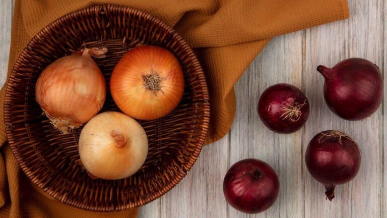 52c5291d 29f0 48cb 88f3 fdcd57571bf3 file.jpg