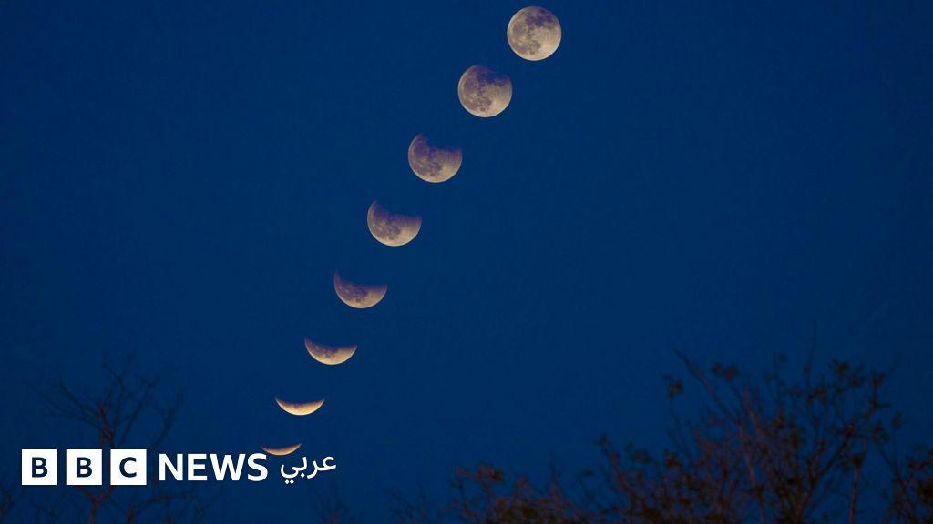 5362e2cb e7b3 408e 8cea 5594828e8b2f file.jpg