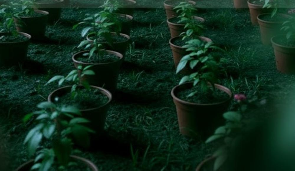 53b44d4e 569e 45b5 ad70 6af005871712 file.jpg