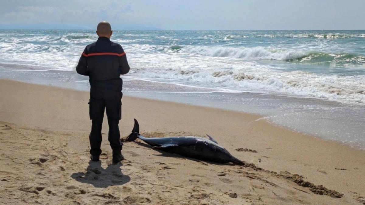 5434ff3a 07a0 4711 ba2c 4018edabff53 file.jpg