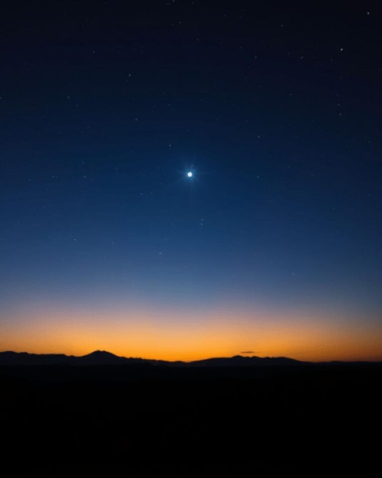 5564cdcc 4152 4666 b048 9b05dd4e1763 file.jpg