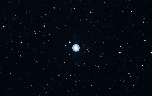 5582dace af83 4623 a41a ab14816cc80a file.jpg