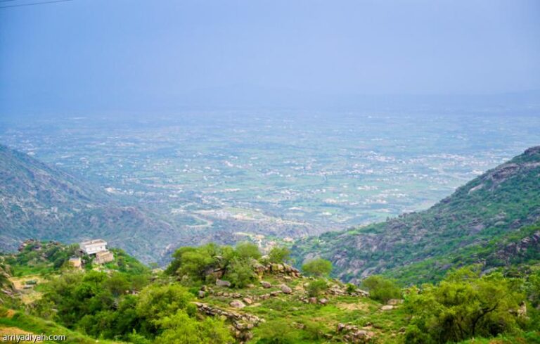 559823e4 b05a 46f5 8409 1f3b9c5099db file.jpg