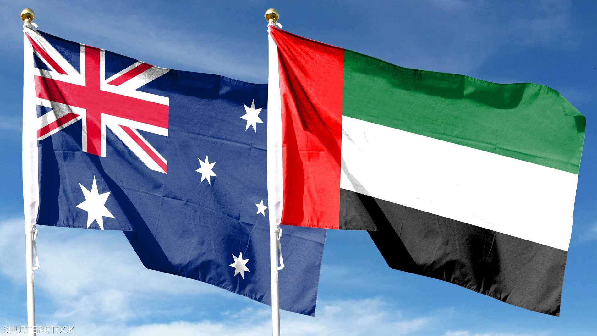 55cee745 5c47 4d33 9b5f e1761c3a2def file.jpeg