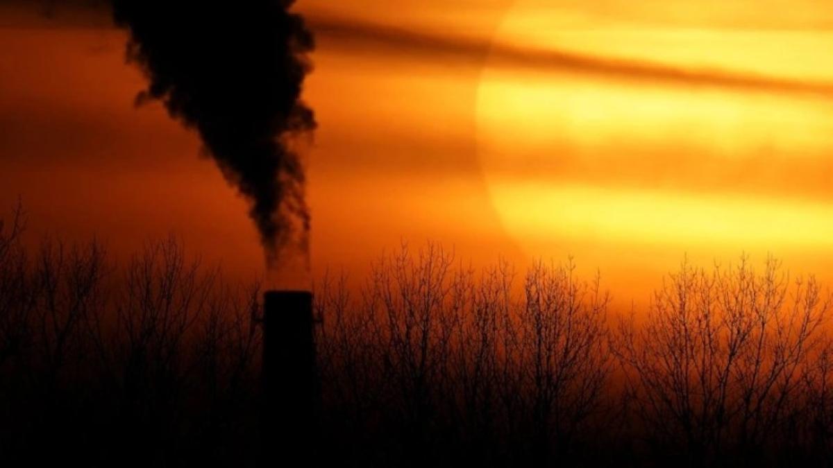 56b2e303 a724 4c36 a20c 59d175975819 file.jpg