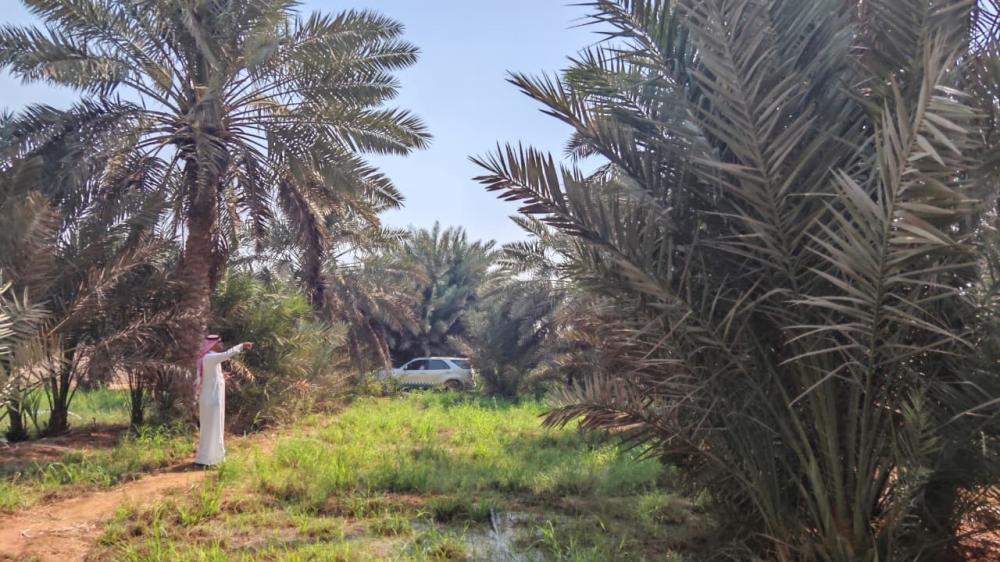 59f0a634 c67e 46ba bdb3 e61530e54824 file.jpg